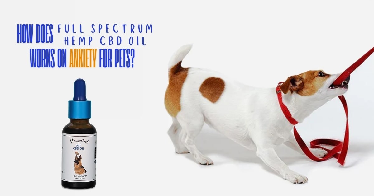 cannabinoid oil for dog